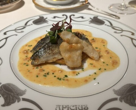 Dinner at APICIUS