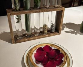 Dinner at APICIUS