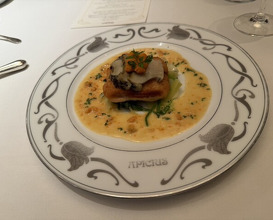 Dinner at APICIUS