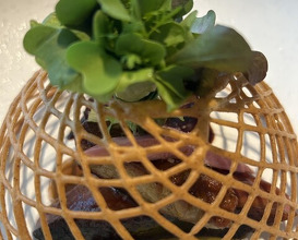 Dinner at ASAHINA Gastronome