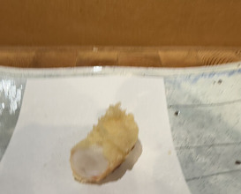 Dinner at Tempura Asanuma (天ぷら浅沼)