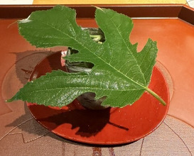 Dinner at Chisousottakuito (馳走 啐啄一十 )
