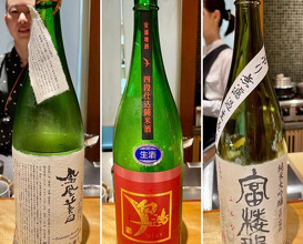 Dinner at Chisousottakuito (馳走 啐啄一十 )