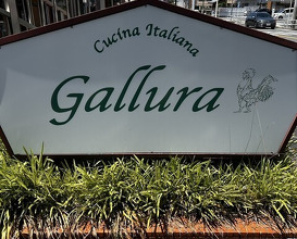 Dinner at Cucina Italiana Gallura (クッチーナ イタリアーナ ガッルーラ)