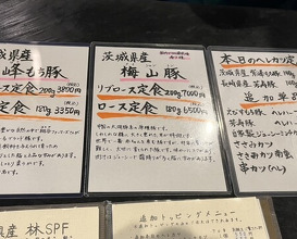 Dinner at Tonkatsu Fujii (とんかつ ふじ井)
