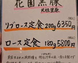 Dinner at Tonkatsu Fujii (とんかつ ふじ井)