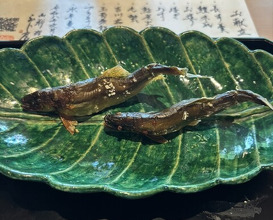 Dinner at Oryori Fujii (御料理ふじ居)