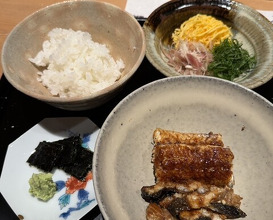 Dinner at Oryori Fujii (御料理ふじ居)