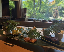 Dinner at Oryori Fujii (御料理ふじ居)