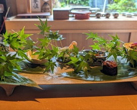 Dinner at Oryori Fujii (御料理ふじ居)