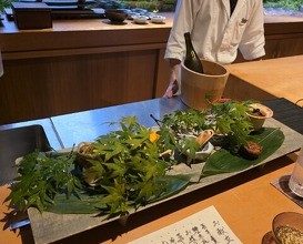 Dinner at Oryori Fujii (御料理ふじ居)