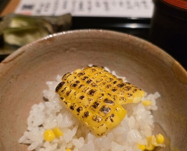 Dinner at Oryori Fujii (御料理ふじ居)
