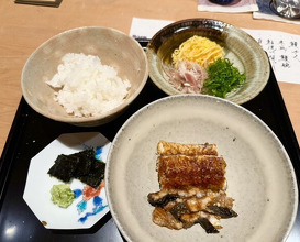Dinner at Oryori Fujii (御料理ふじ居)