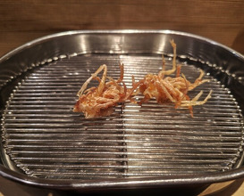 Dinner at Tempura Fukamachi (てんぷら 深町)
