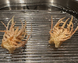 Dinner at Tempura Fukamachi (てんぷら 深町)