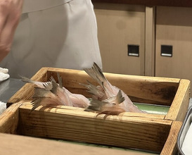 Dinner at Tempura Fukamachi (てんぷら 深町)