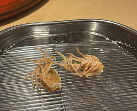 Dinner at Tempura Fukamachi (てんぷら 深町)