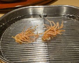 Dinner at Tempura Fukamachi (てんぷら 深町)