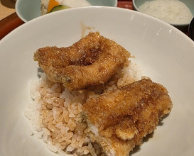 Dinner at Tempura Fukamachi (てんぷら 深町)