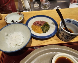 Dinner at Niku Ryori Fukunaga (肉料理ふくなが)
