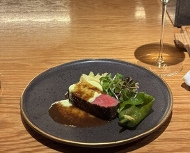 Dinner at Funachef (フナシェフ)