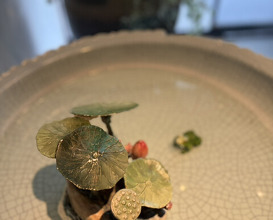 Dinner at Chinese Hanten Fureika (中国飯店 富麗華)