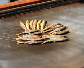 Dinner at Gatagata Ya (潟潟ヤ)
