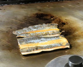 Dinner at Gatagata Ya (潟潟ヤ)