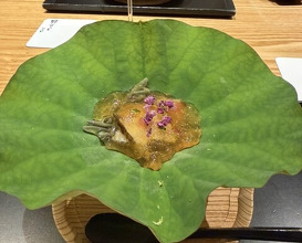 Dinner at Ginza Kitafuku (銀座 きた福)