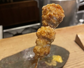 Dinner at Goichi