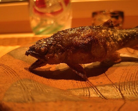 Dinner at Hakuun