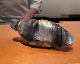 Dinner at Sushi Hashimoto