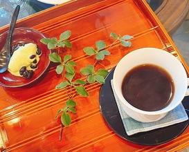 Dinner at HATSUNEZUSHI (初音鮨)