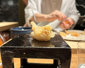 Dinner at HATSUNEZUSHI (初音鮨)