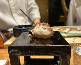 Dinner at HATSUNEZUSHI (初音鮨)