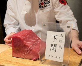 Dinner at HATSUNEZUSHI (初音鮨)