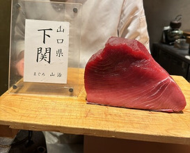 Dinner at HATSUNEZUSHI (初音鮨)
