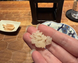 Dinner at HATSUNEZUSHI (初音鮨)