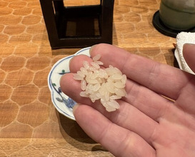 Dinner at HATSUNEZUSHI (初音鮨)