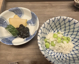 Dinner at Higashiyama Ogata