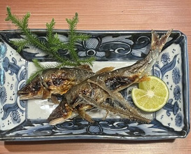Dinner at Hirasanso