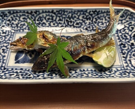 Dinner at Hirasanso