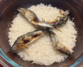 Dinner at Hirasanso