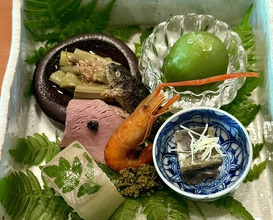Dinner at Hirasanso