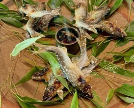 Dinner at Hirasanso
