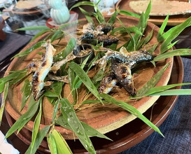 Dinner at Hirasanso