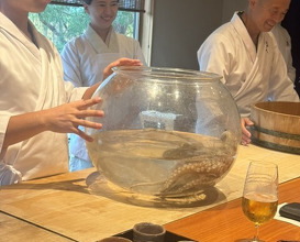 Dinner at Nihonryori Beppu Hirokado