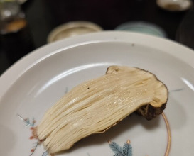 Dinner at Hiyama (樋山)