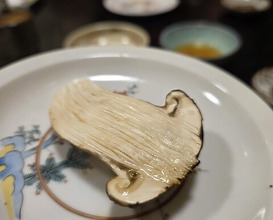 Dinner at Hiyama (樋山)