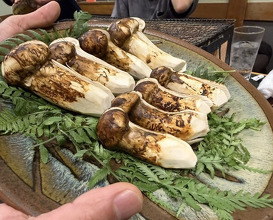 Dinner at Hiyama (樋山)